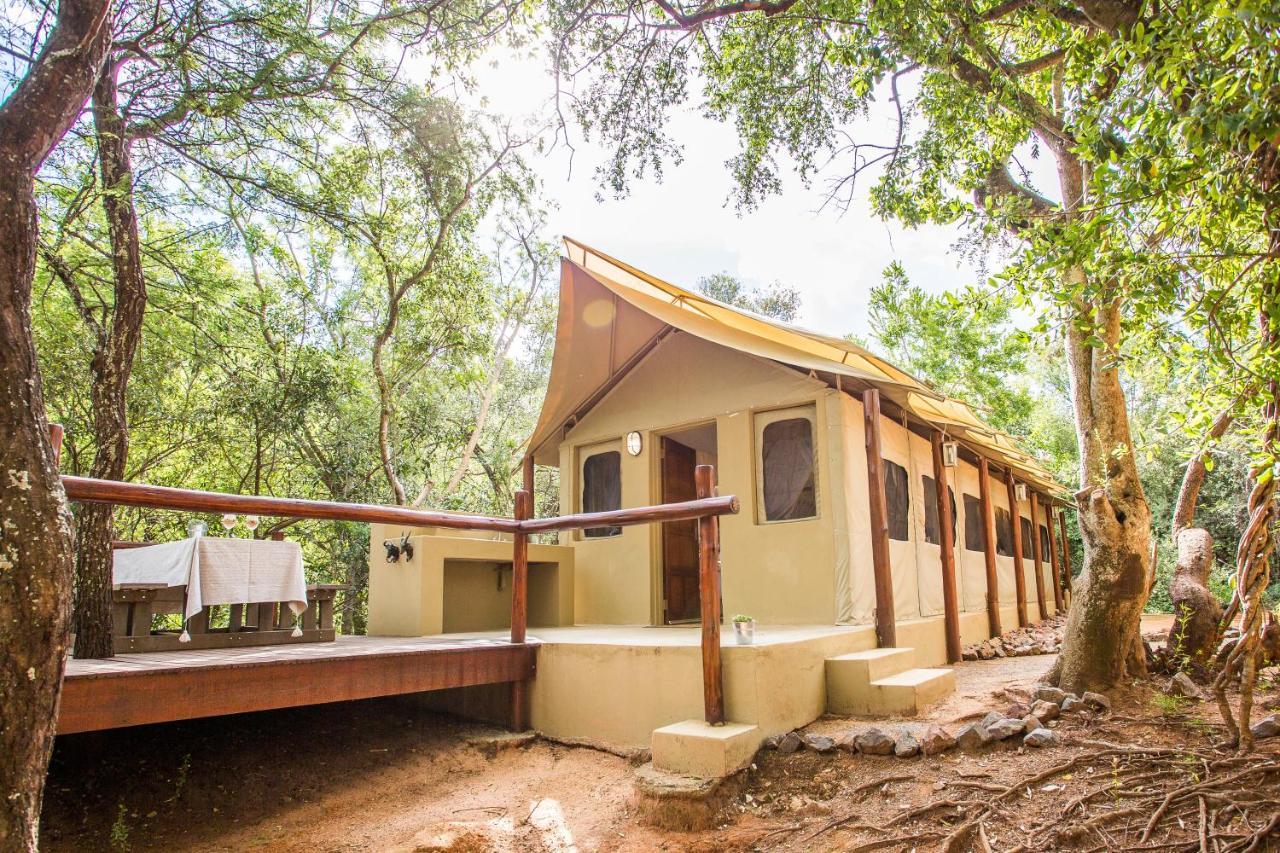 Zwartkloof Tented Camp Luxe tent Bela-Bela