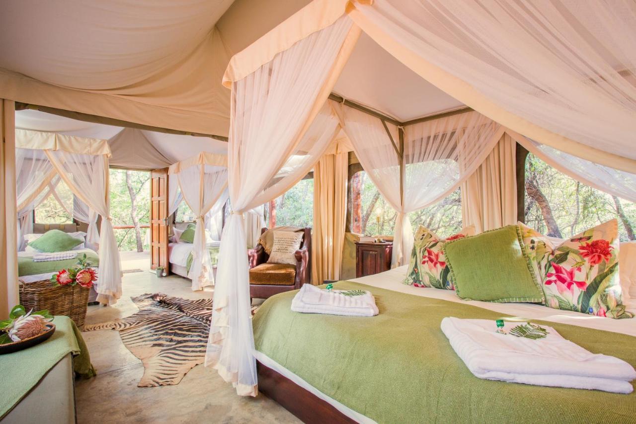 Luxe tent Zwartkloof Tented Camp Bela-Bela