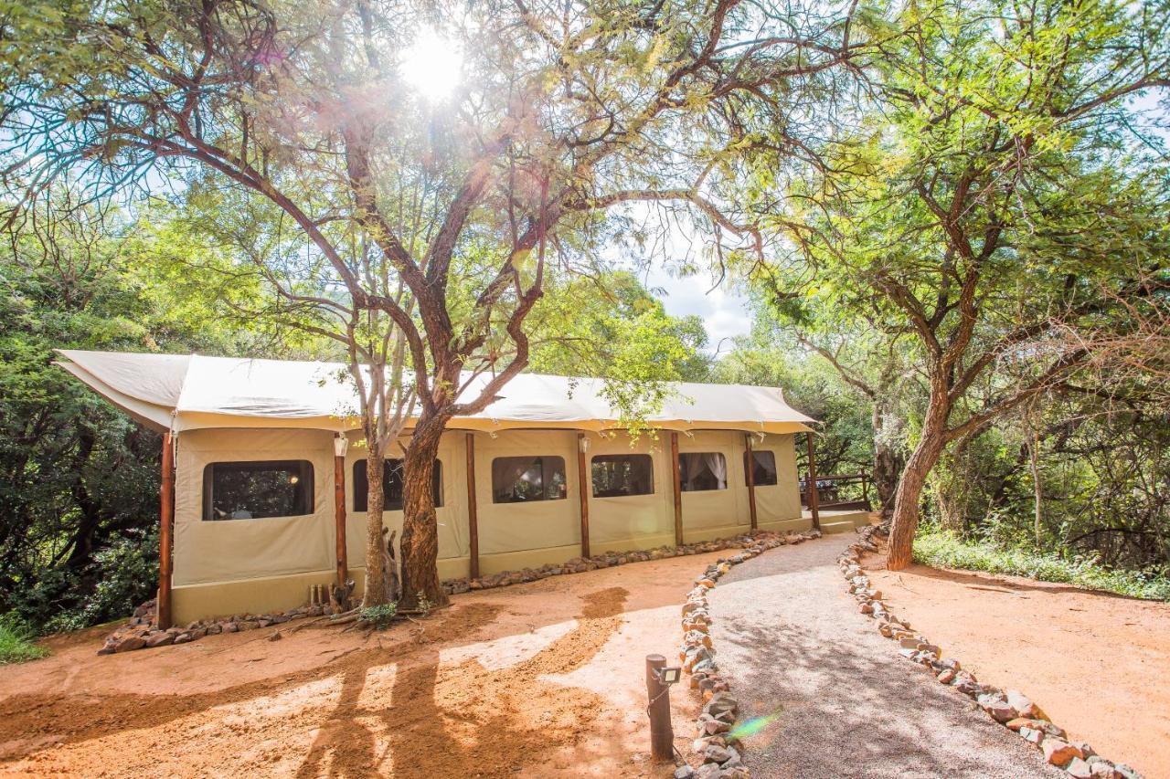Luxe tent Zwartkloof Tented Camp Bela-Bela